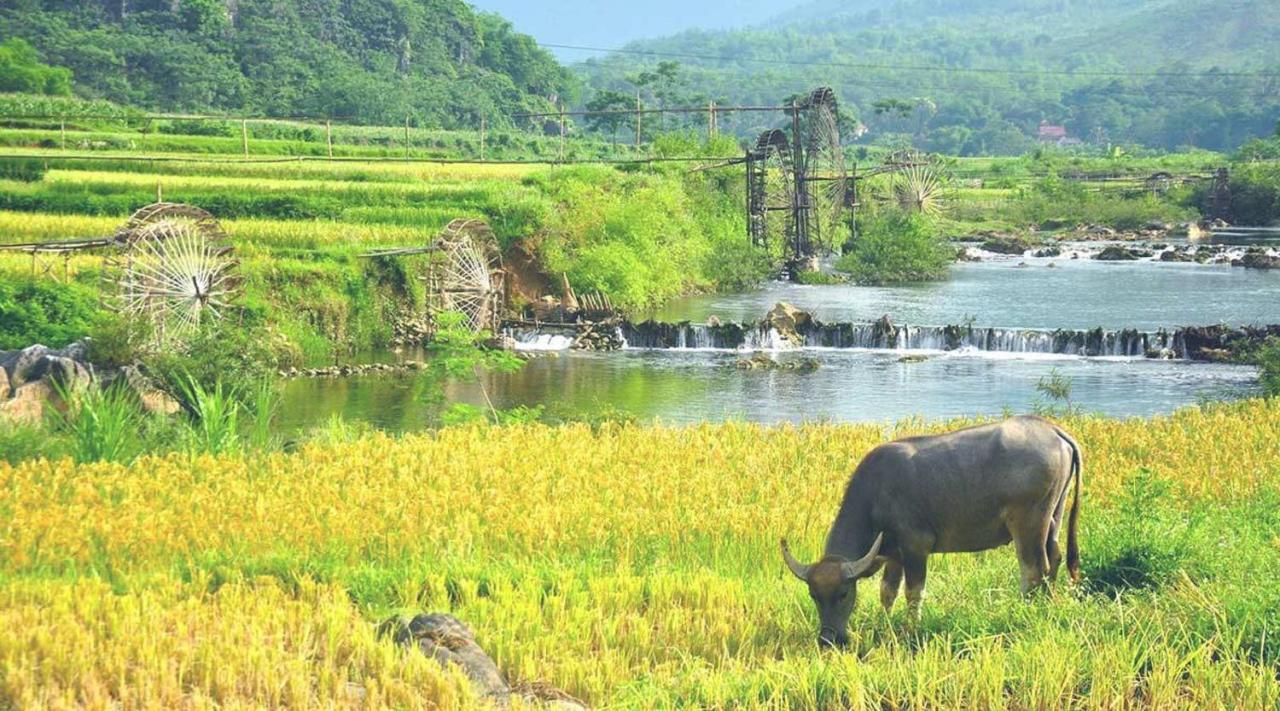 Pu Luong Boutique Garden Hotel Kültér fotó